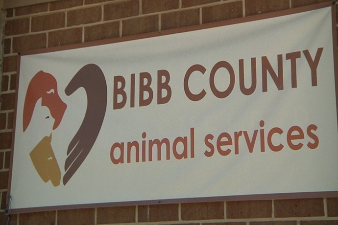 Fur Baby Shower should help new Macon-Bibb Animal Welfare opening