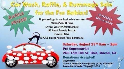 Get your car washed and help local animal rescues