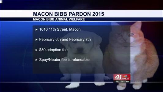 Macon Bibb Animal Welfare pardons shelter animal, fees reduced